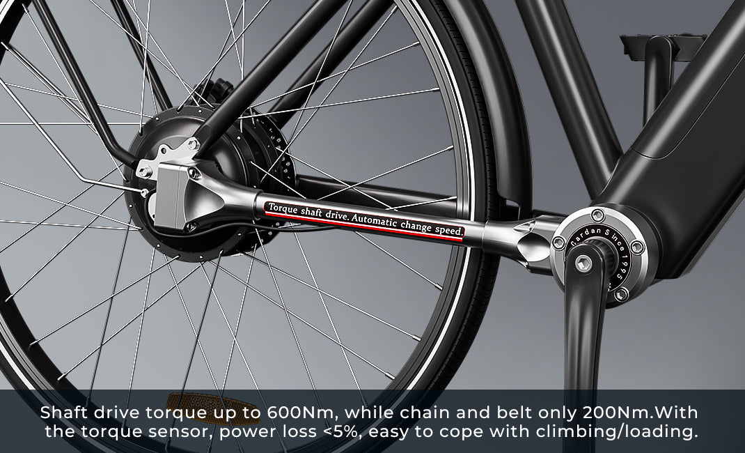 Miyazaki GC1995's 600Nm shaft-drive system delivers 3x the torque of chain/belt drives (200Nm) with <5% power loss for effortless hill climbing and heavy loads