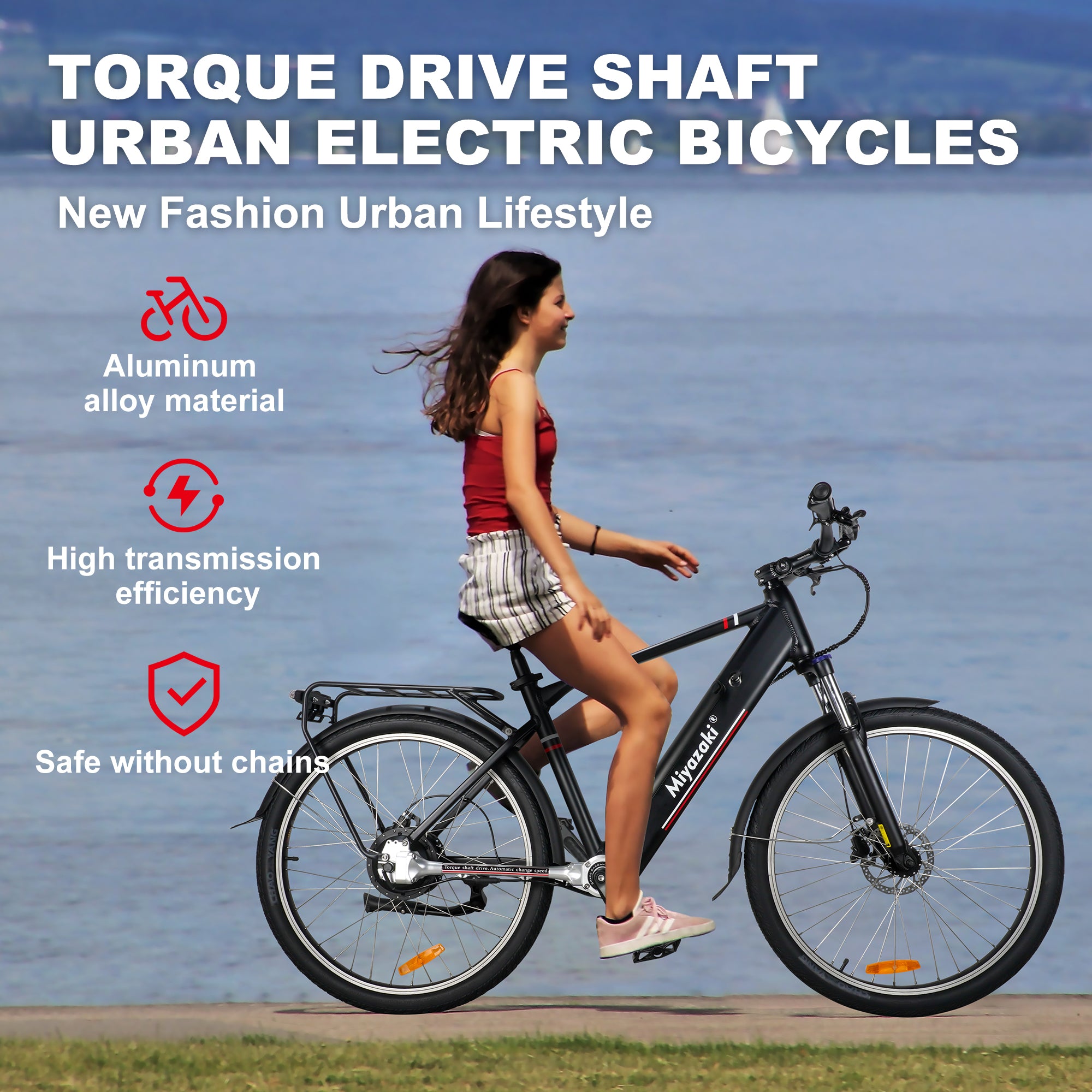Miyazaki Torque Drive Shaft City Electric Bicycle GC1995