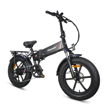 Miyazaki Folding Electric Bike Fat tire snow electric bicycle R5