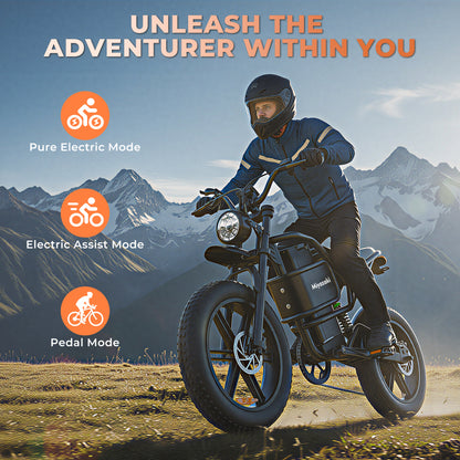 1500W Fat Tire Off-Road Long Range E-bike V43